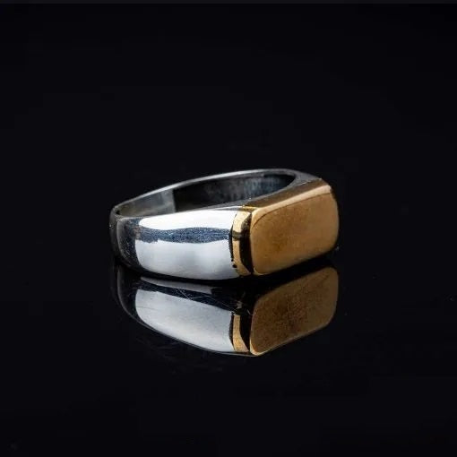 Stoneless Plain Bronze & Silver Ring