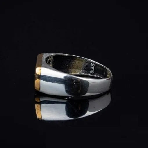 Stoneless Plain Bronze & Silver Ring